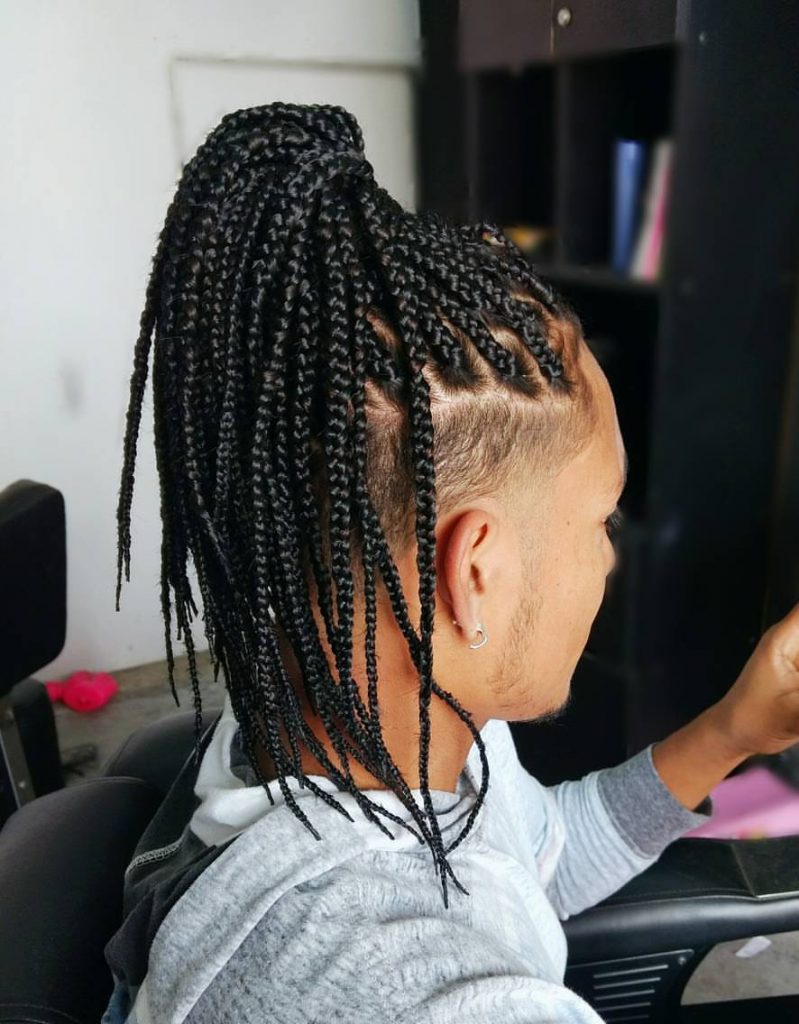 Trenza 1